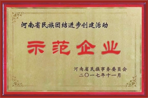 河南省民族联结进取创建活动示范企业