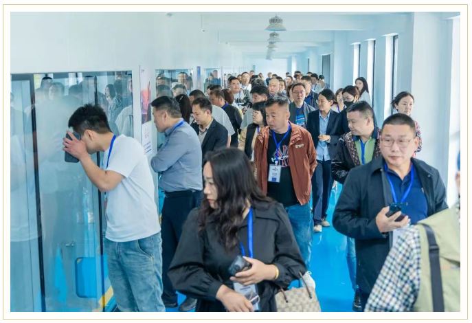 糖果派对 - 更优质的游戏运营商官网