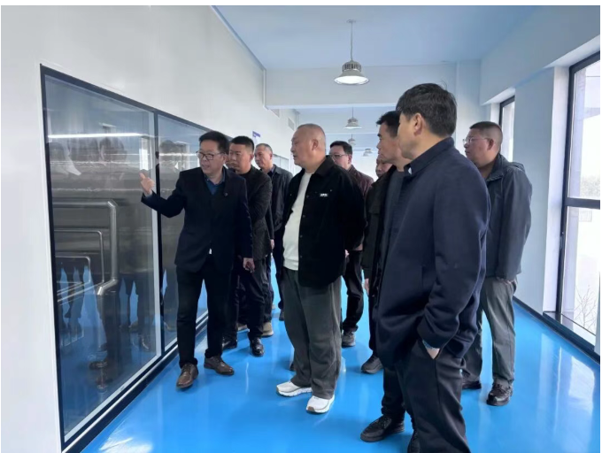 糖果派对 - 更优质的游戏运营商官网